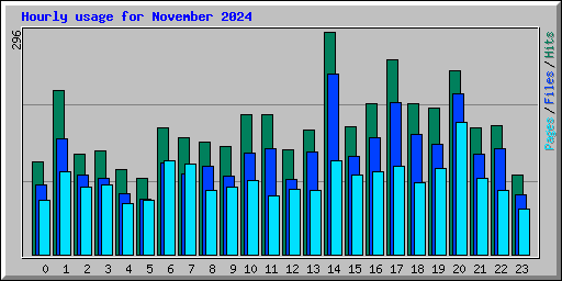 Hourly usage for November 2024